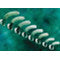 Guedel Airway